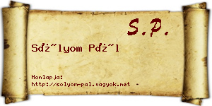 Sólyom Pál névjegykártya
