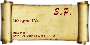 Sólyom Pál névjegykártya